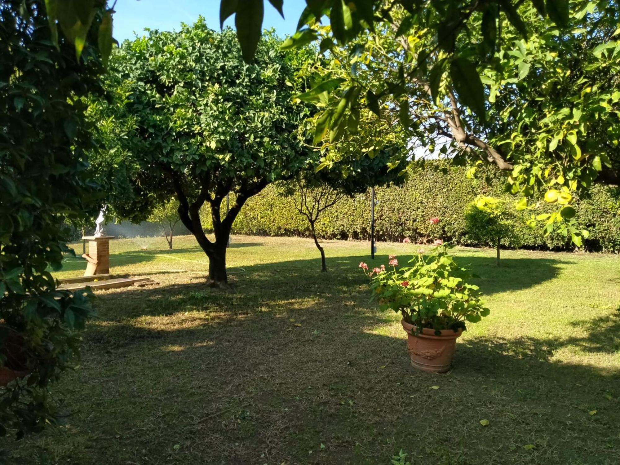 Da Ninnilla Holiday Home Scafati Esterno foto